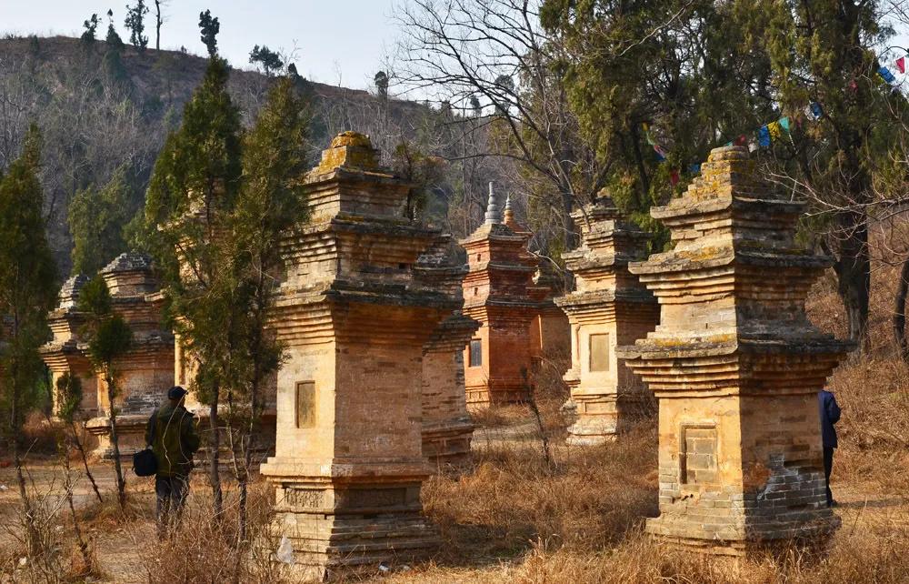 河南有几个国保,河南有哪些国保