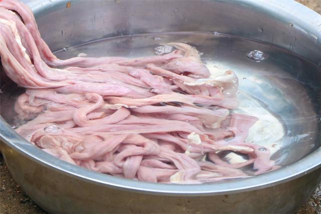 猪大肠怎样炒脆爽,猪大肠如何炒的脆爽