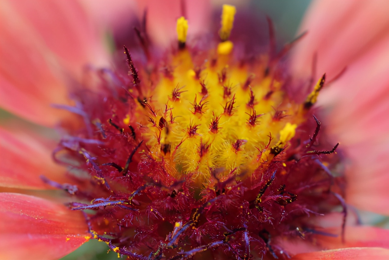 佳能最值得买的三个镜头,佳能全画幅无反推荐