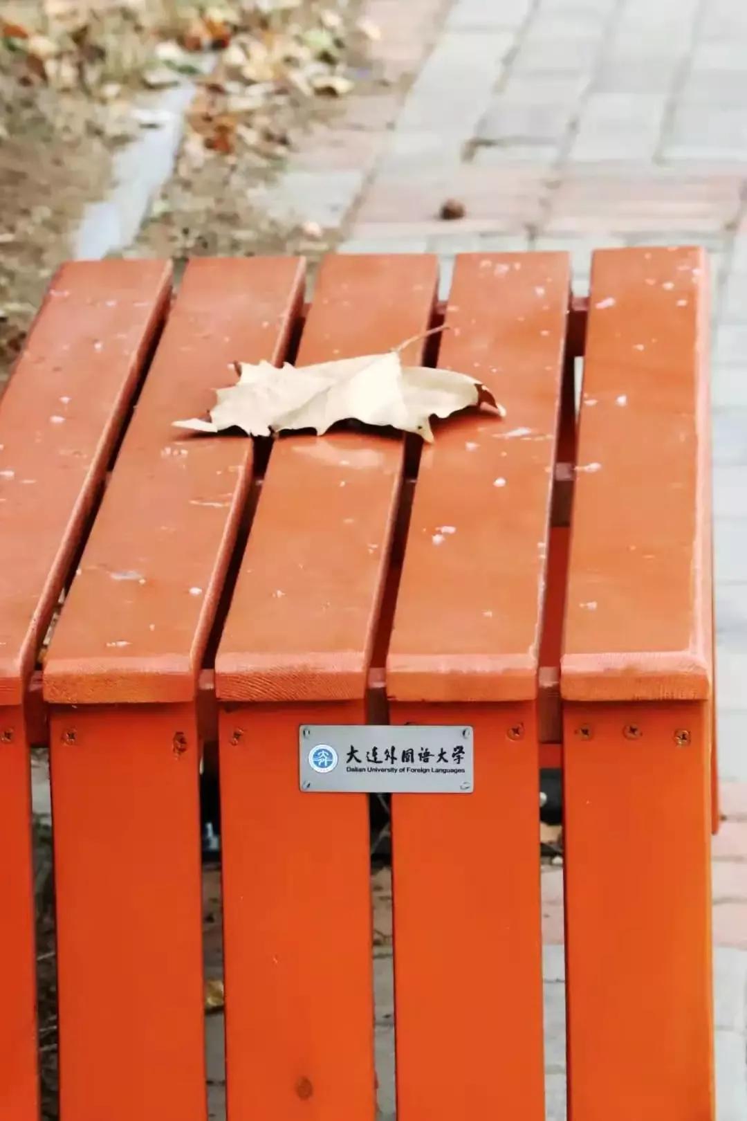 辽宁省高校(三十二)大连外国语大学