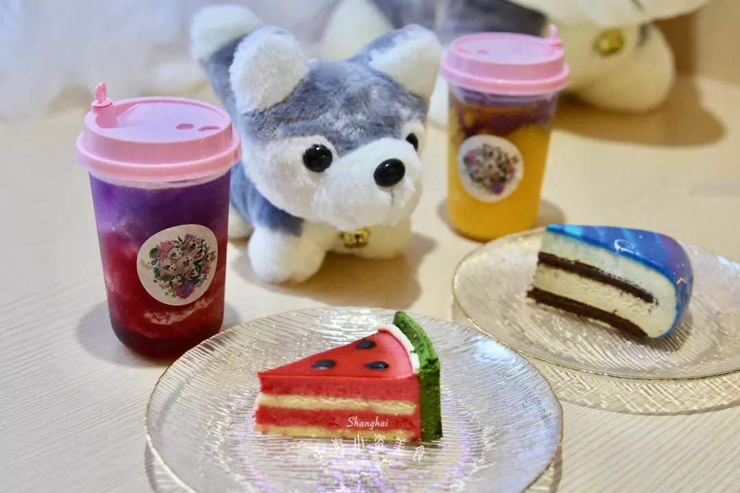 2019宠物排名,2022宠物排行榜