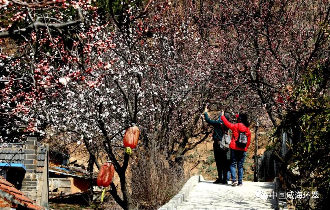 走进春天的环翠公园,环翠景色