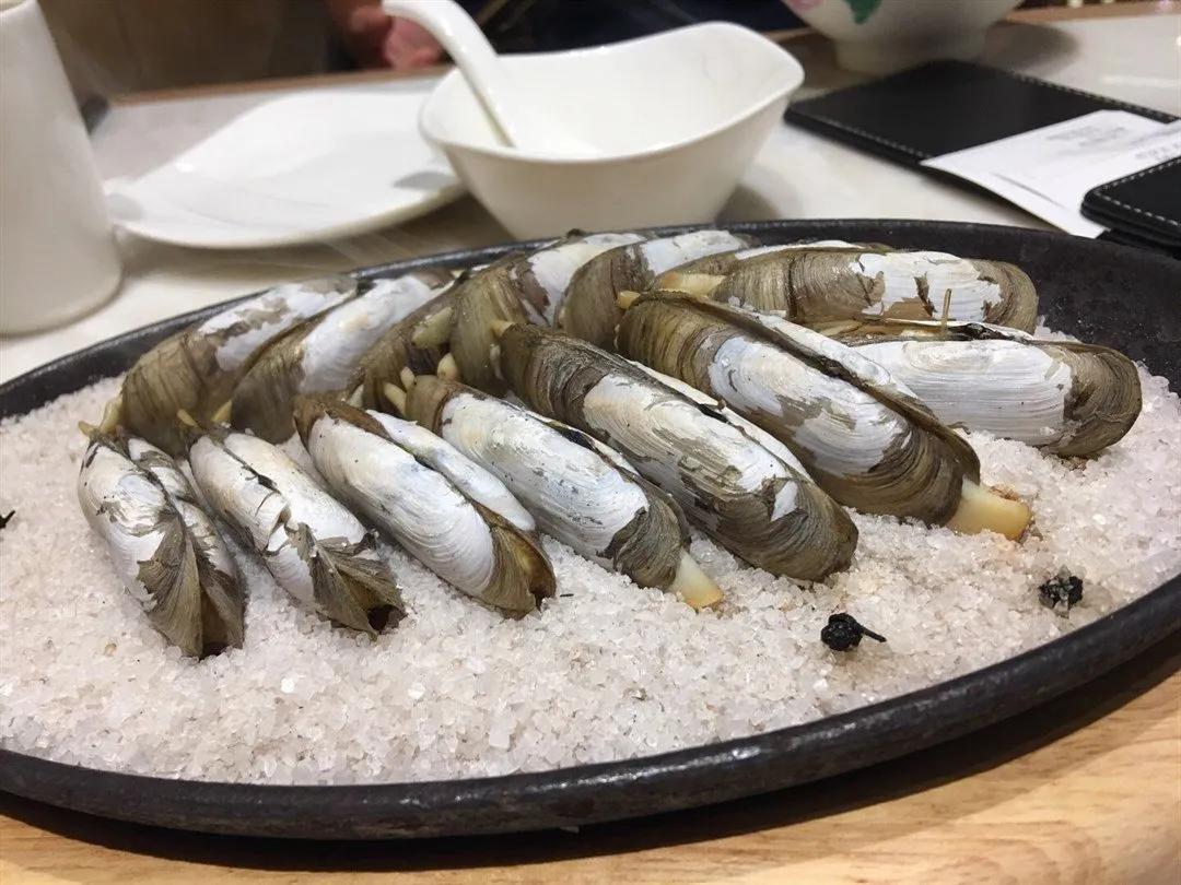 蚬子蛏子蛤蜊什么区别,长条的蛤蜊蛏子叫什么