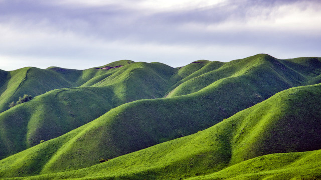喀拉峻大草原风景好迷人,喀拉峻大草原生态环境
