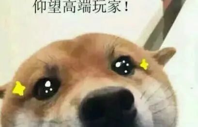 计算机专业必修的课,计算机网络技术专科全部课程