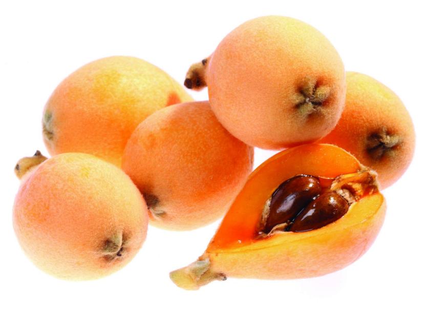 20种狗不能吃的食物,几种食物狗狗不能吃