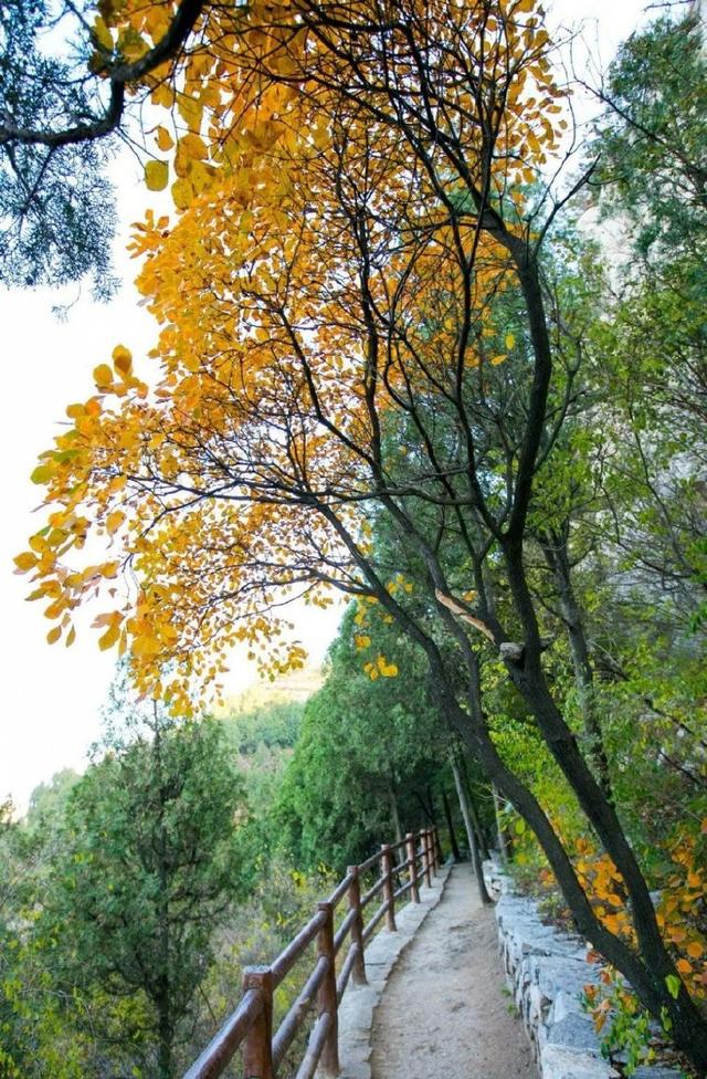 济南旅游景点推荐带孩子玩,济南旅游景点推荐适合带孩子