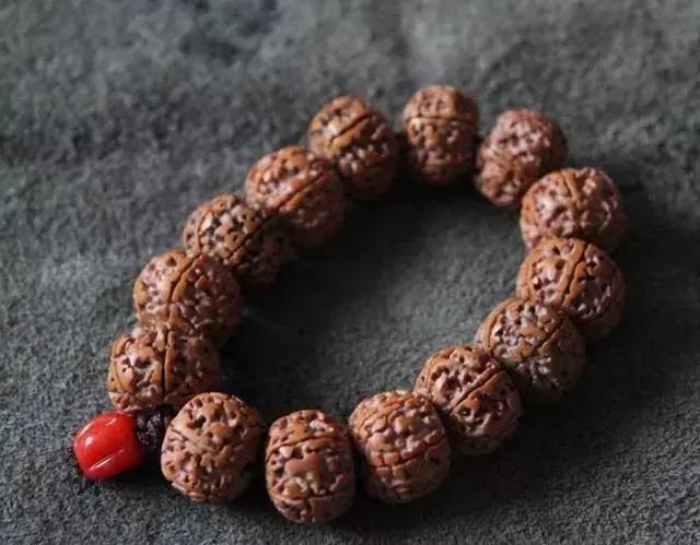 打磨藏式金刚教程,无齿藏式金刚菩提怎么盘