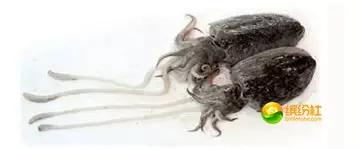 舟山海鲜攻略2天3晚吃什么,舟山海鲜代加工攻略