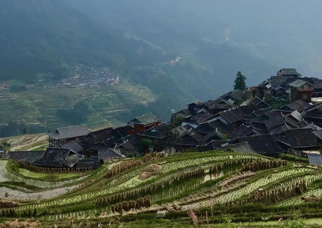 农造田野丨总有一根神经通往乡野|月亮山百里梯田