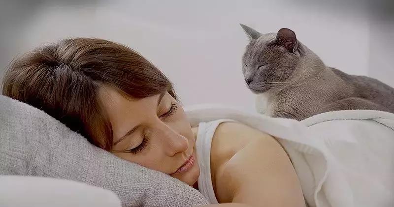 小猫和人一起睡觉有哪些危害,猫跟人一起睡会被压死吗