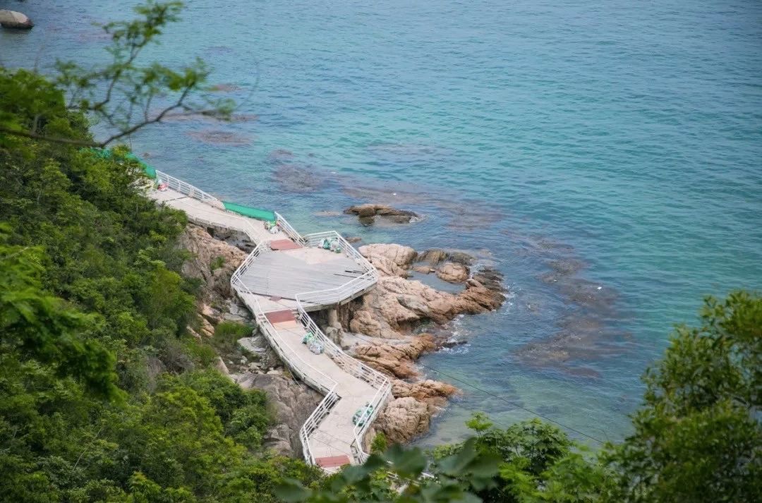 深圳免费一日游好去处推荐,深圳一日游好去处推荐老人