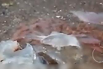 海边游玩遇到的危险,去海边皮肤过敏的原因