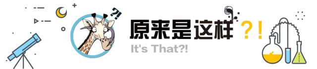 拿什么拯救你我的发际线笑死我了,拿什么拯救你我的发际线文案
