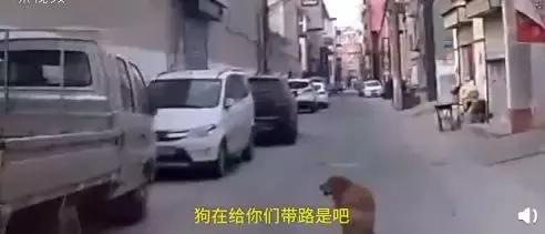 警察执法警告三次后续,民警红牌警告