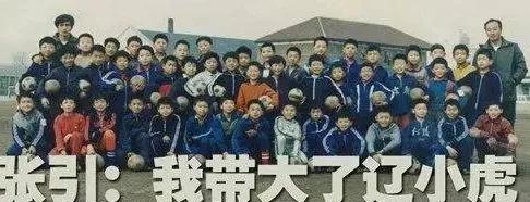 张引李铁李金羽视频,张引评价李铁视频