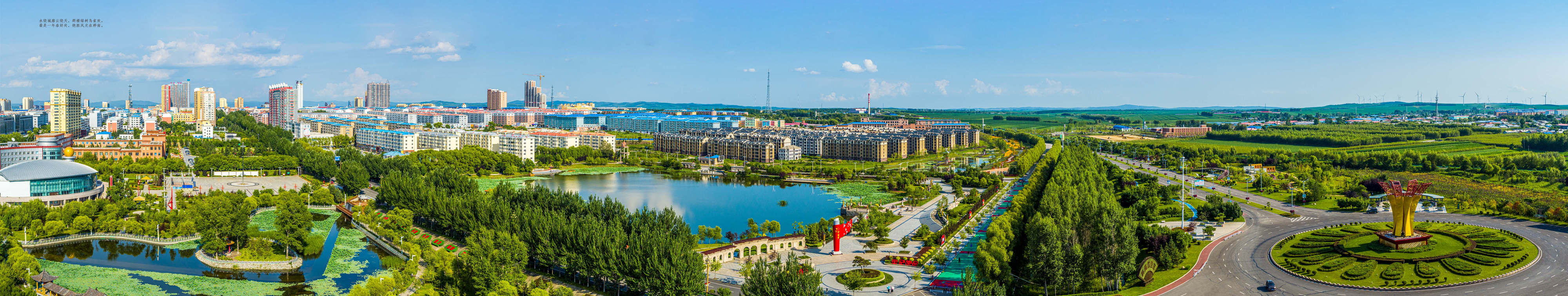 桦南紫苏种植基地在哪里,桦南紫苏简介