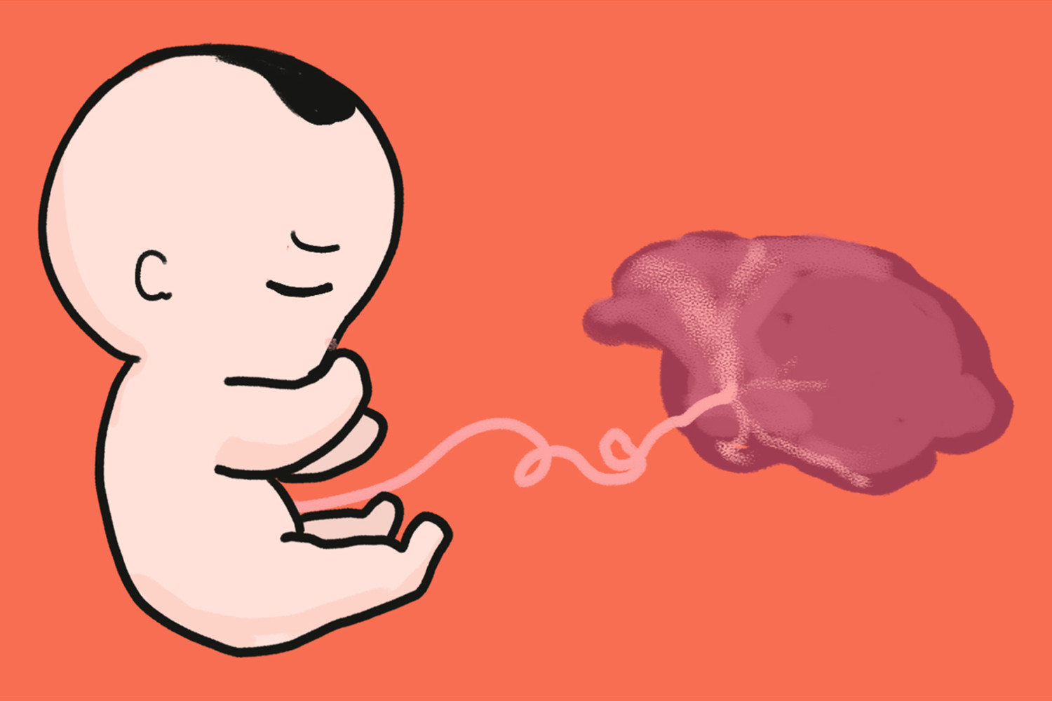 新生儿的胎盘处置有什么讲究,出生的婴儿胎盘怎么处理好