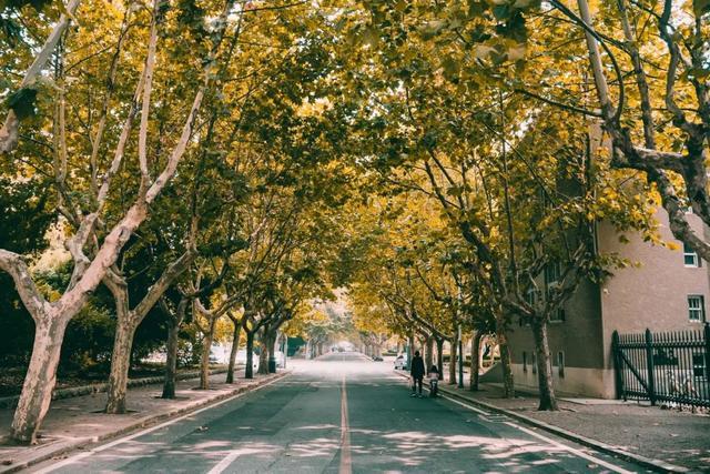 突然就想去旅游了,忽然间就想去厦门了