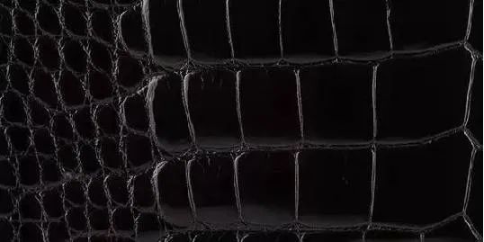 台湾鳄鱼皮皮具品种,黑加仑紫鳄鱼皮品种