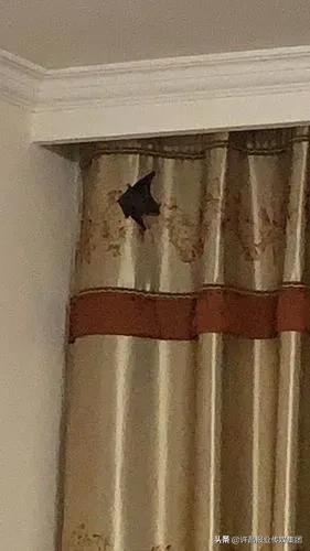 凌晨遇到不速之客,凌晨闯入陌生人