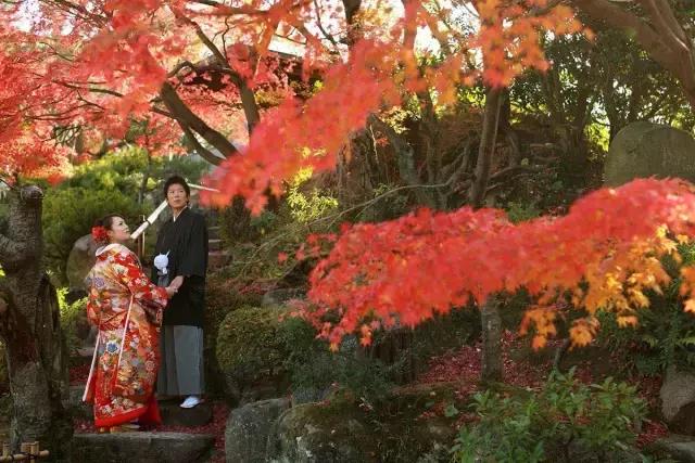 日本是一个值得一去再去、并深入探索的国家