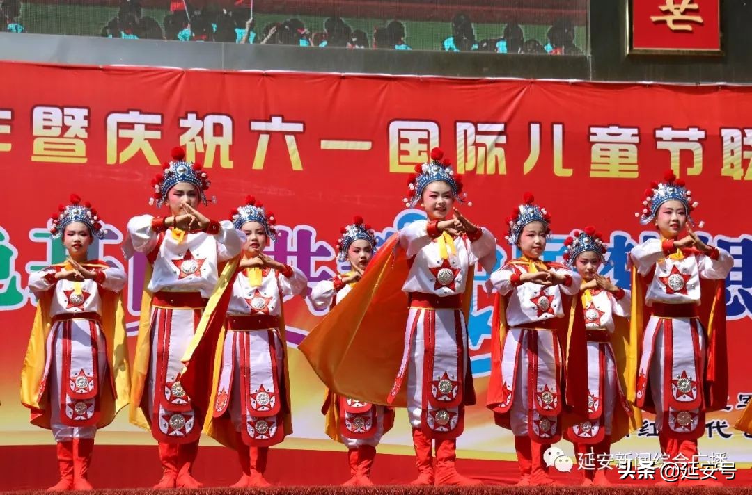 育才学校官网直播,育才直播现场