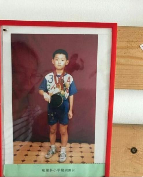 张继科在刘诗雯低谷期高调秀恩爱,张继科乒乓球遗憾