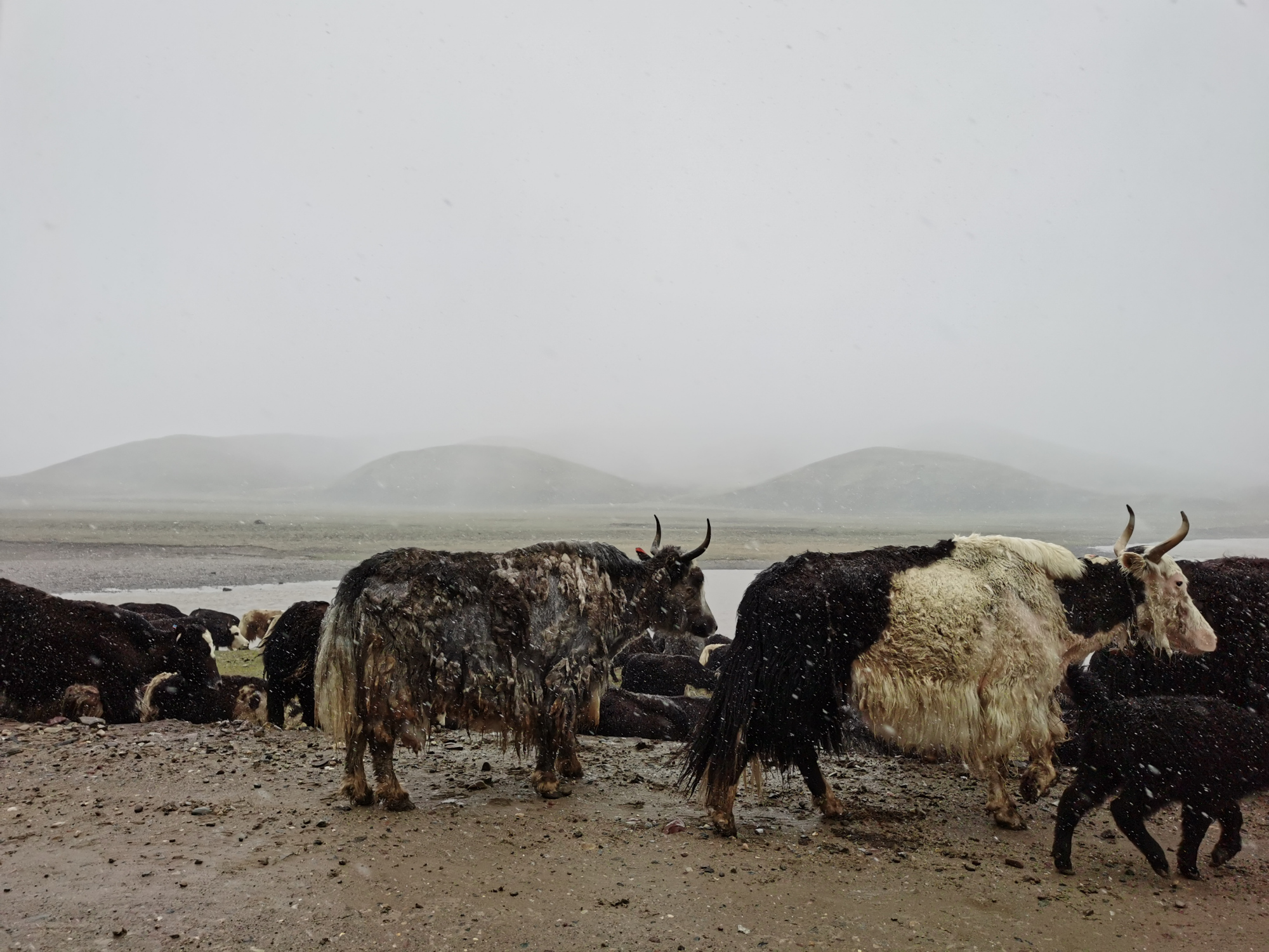 吉乃尔湖青海版马尔代夫,东台市马尔代夫