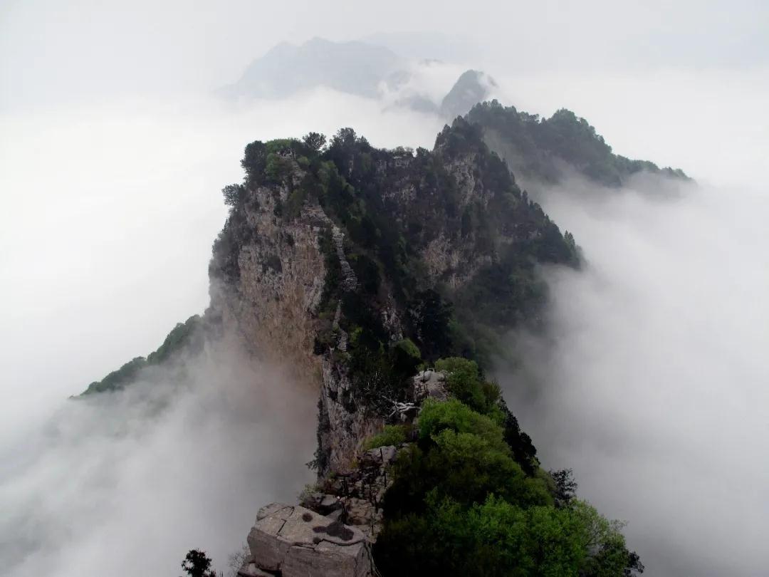 全国林草生物多样性保护成就展,林业生物多样性保护