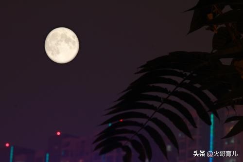 怎么帮孩子克服怕虫子的心理,小女孩害怕虫子脱敏