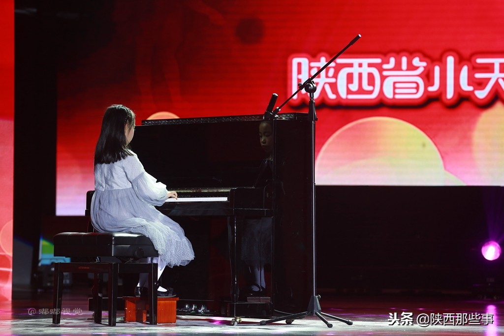 小天鹅艺术团童心向党,陕西省小天鹅艺术团点亮中国梦