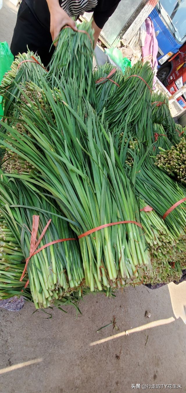 2020西安欣桥蔬菜市场8月份价格,西安欣桥蔬菜批发市场今日肉价