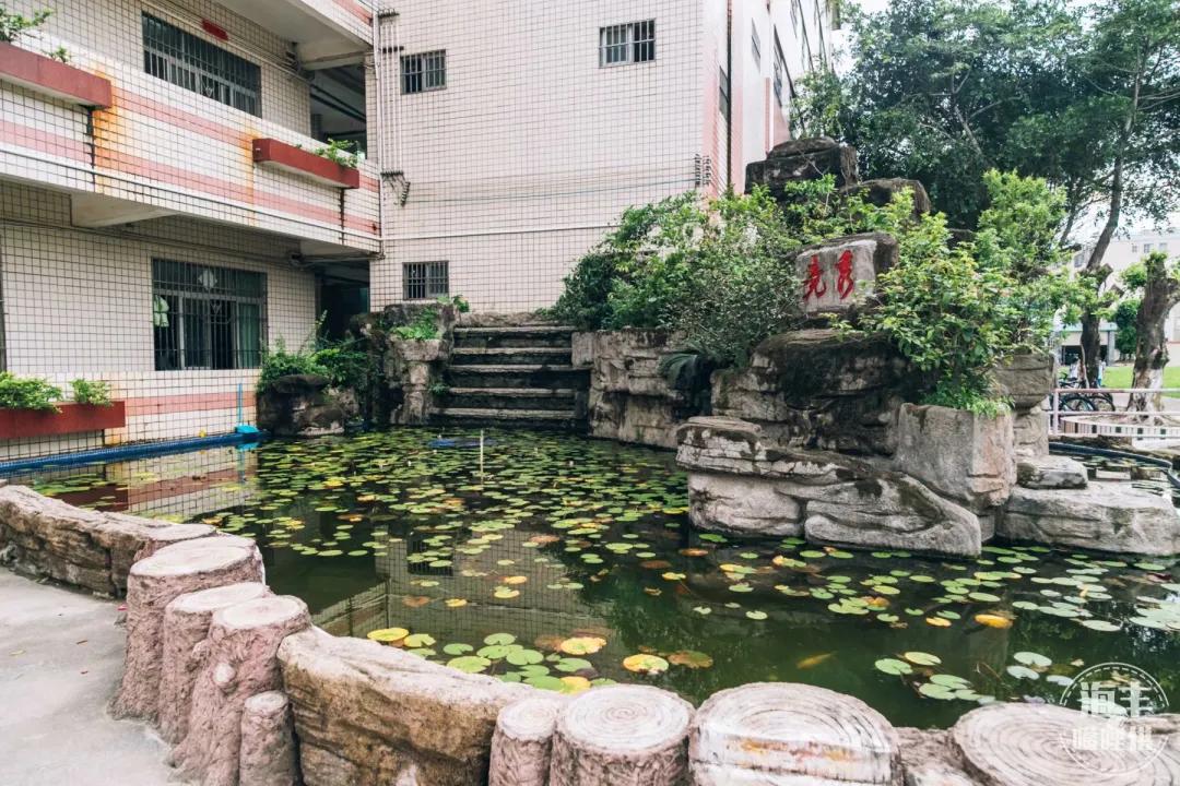 海丰龙津河畔,海丰县莲花山中学视频