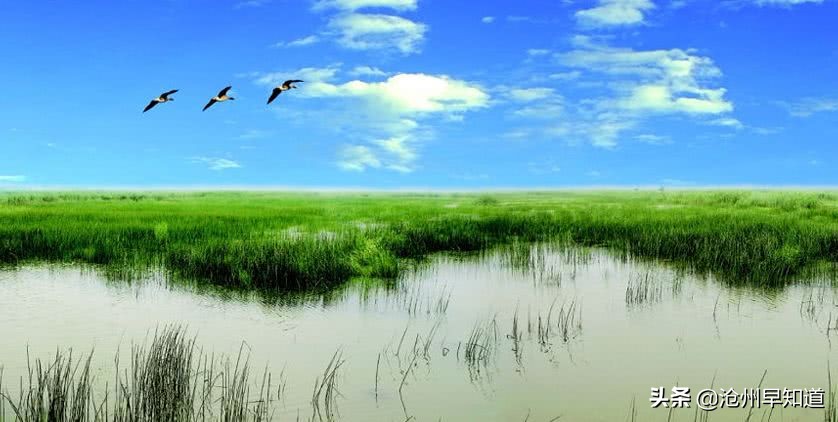 黄骅的文明城市,黄骅已经被评为国家中心城市了吗