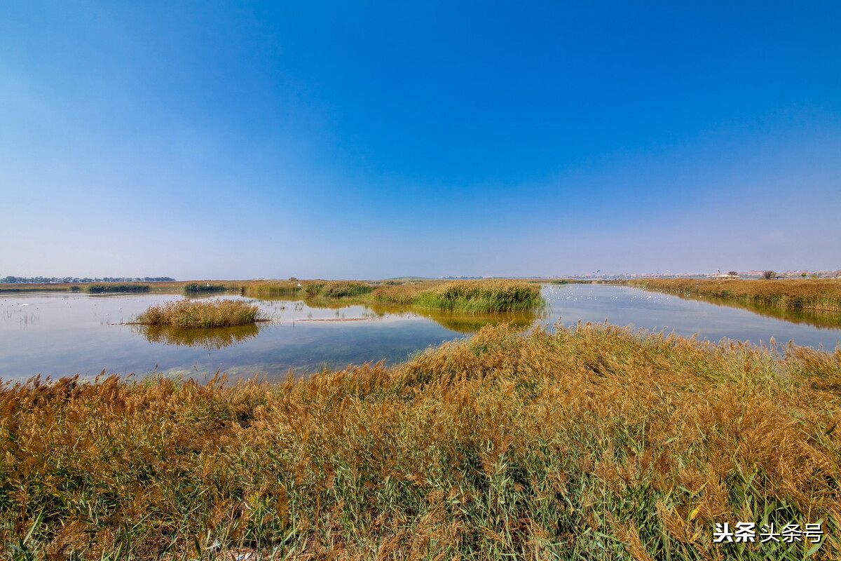 国家为什么要大力发展宁夏,宁夏石嘴山市未来发展