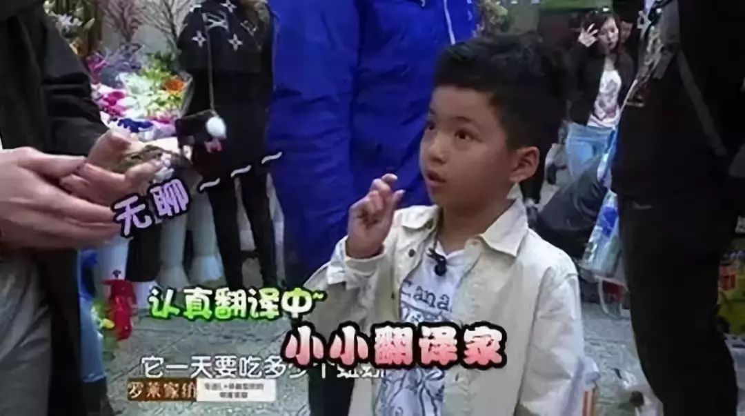 读国际学校的孩子,读国际学校的孩子今年还能出国么