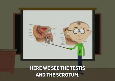 被孩子撞见你们在干嘛怎么回答,被孩子撞见了你该如何去解释