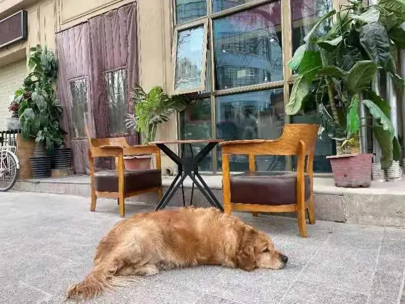 看见身边,民谣是一种情怀亦是生活