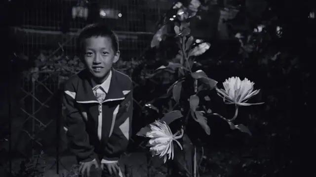 夏天最值得看的电影,十部必看经典电影夏天