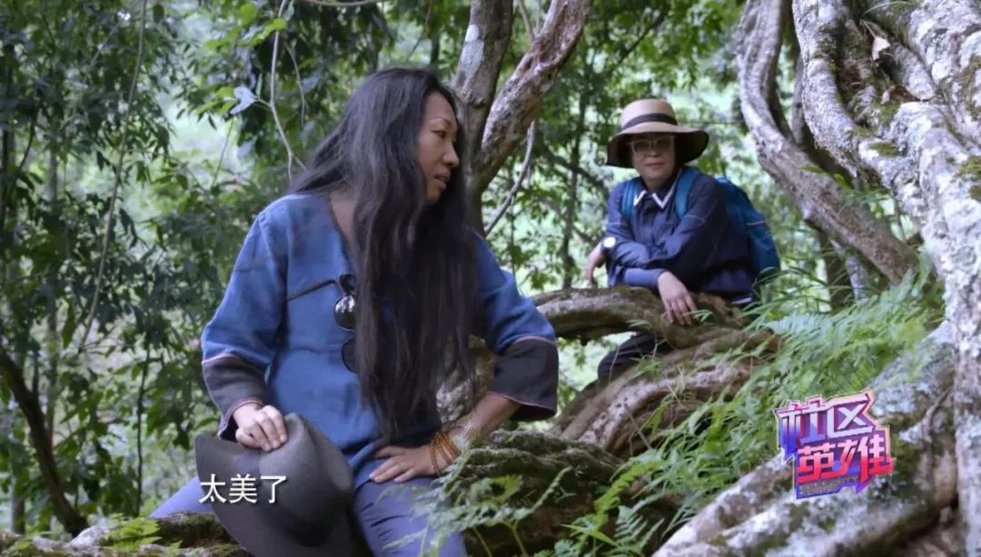 29岁不当记者，追随德国老公守护雨林，两女儿宛如天使，可不上学