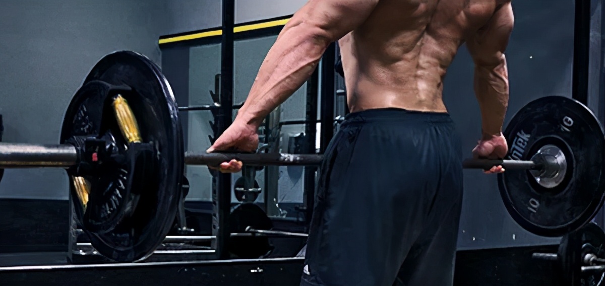 “绝世肌肉美感王”完整练法——他让普通爱好者看到希望