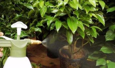 土壤雨后板结如何给土壤松土,土壤板结自制肥料松土