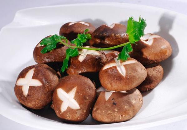 菩提大院美食大全,菩提大院