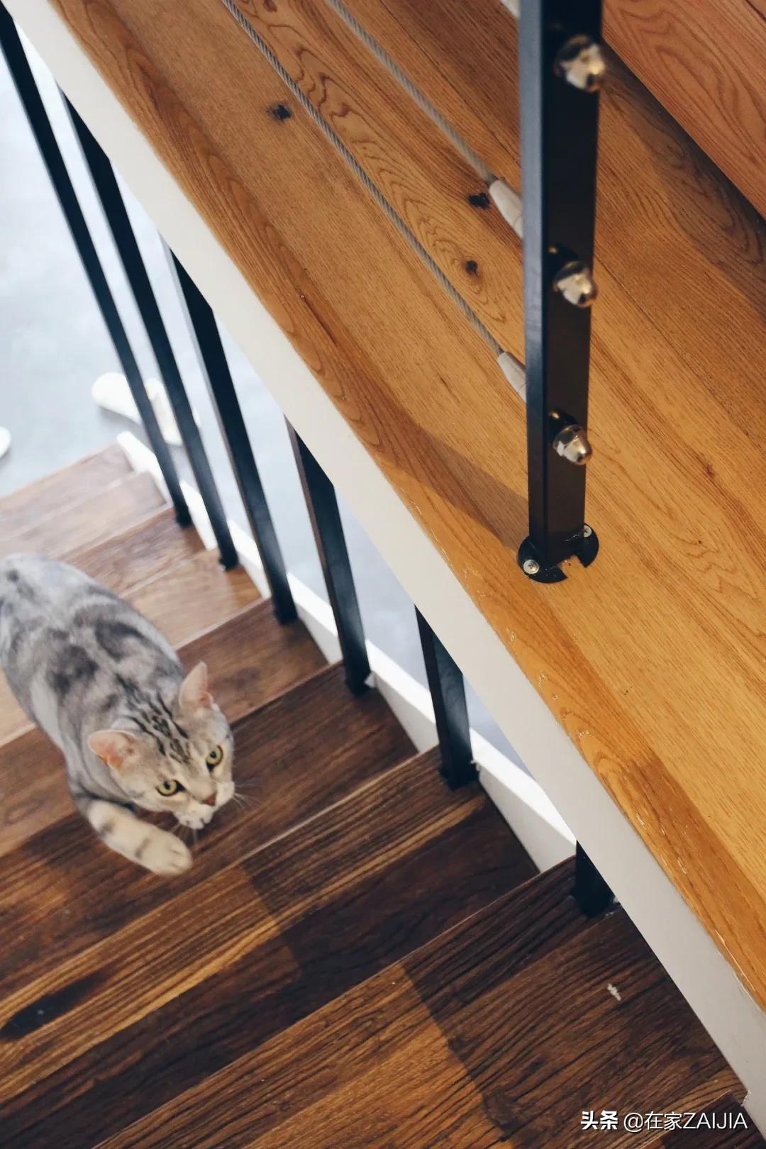 不服输的北漂打工人！徒手造家具，40m²改出两室一厅