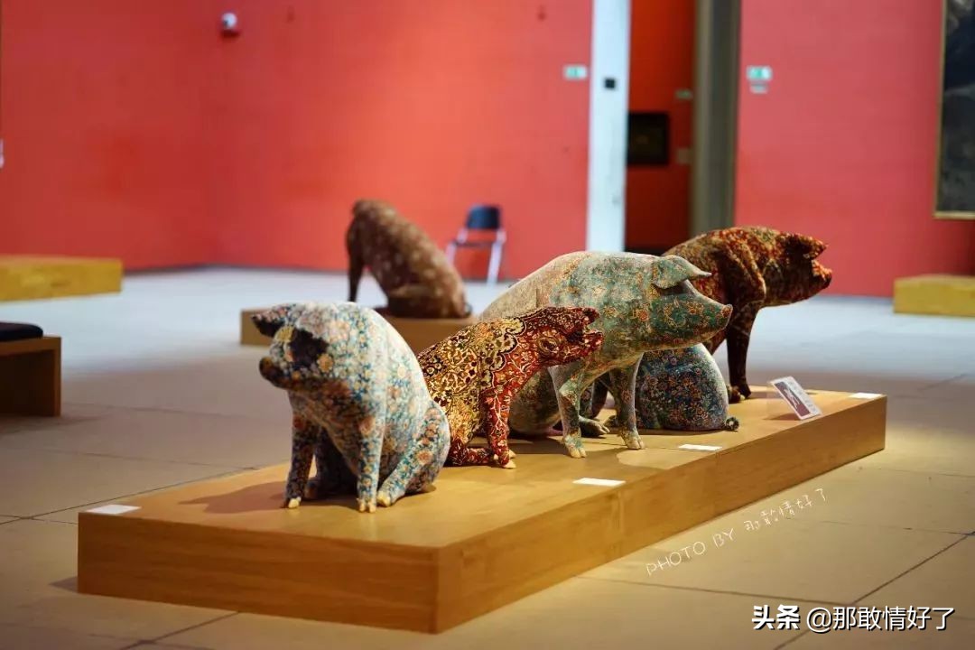 在蓝精灵的故乡邂逅天价纹身*国猪中**，只因我国没有动物保护约束