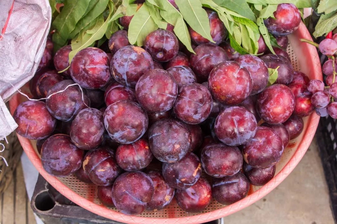 说秋道冬话永胜，气候多样人宜居