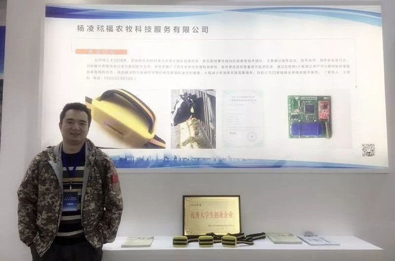 清华博士放弃五亿年薪回乡养牛,放弃300万年薪的博士