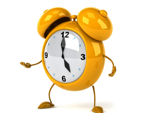 白天上班怎么训练狗狗定点大小便,铲屎官养狗新手教程