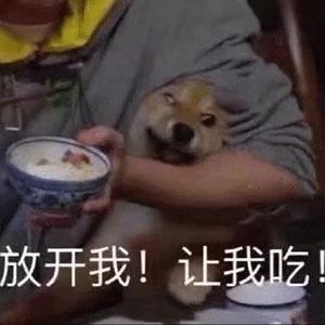 吃夜宵长胖,为什么吃了夜宵反而更容易饿呢